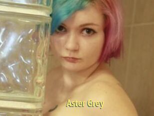 Aster_Grey