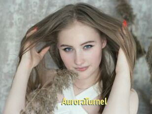 AuroraTurnel