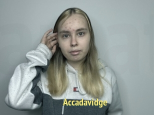 Accadavidge