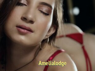 Amelialodge