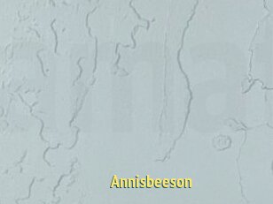 Annisbeeson