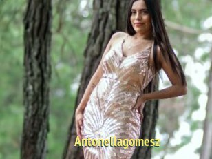 Antonellagomesz
