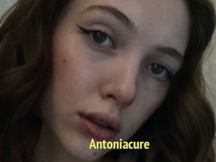 Antoniacure