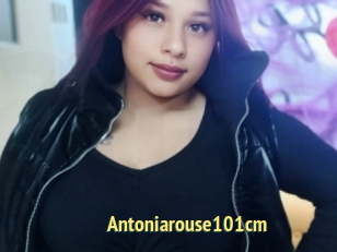 Antoniarouse101cm