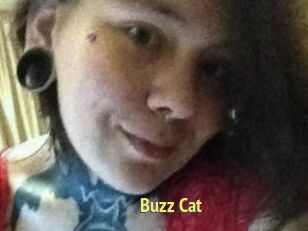 Buzz_Cat