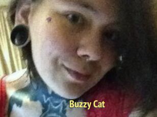 Buzzy_Cat