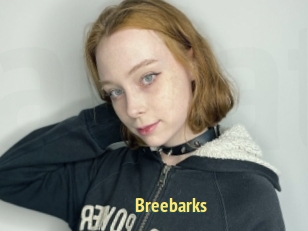 Breebarks