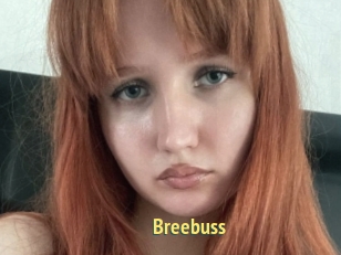 Breebuss