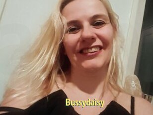 Bussydaisy