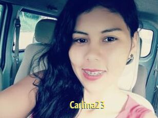 Carlina23