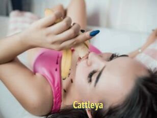 _Cattleya