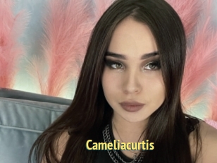 Cameliacurtis