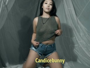 Candicebunny