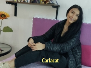 Carlacat