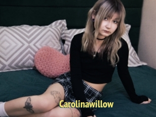 Carolinawillow