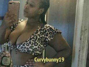 Curvybunny19