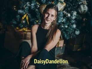 DaisyDandelion