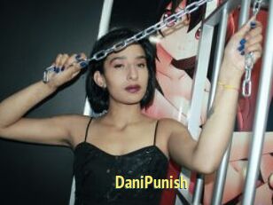 DaniPunish