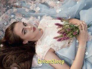 DreamSleep