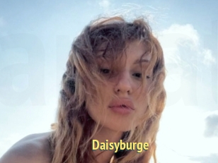 Daisyburge