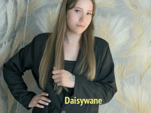 Daisywane