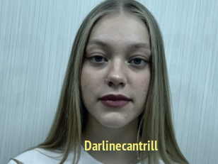 Darlinecantrill