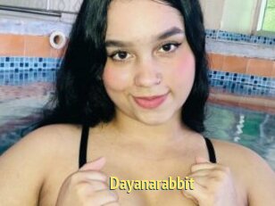 Dayanarabbit