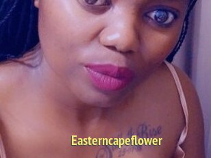 Easterncapeflower