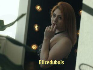 Elicedubois