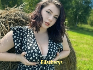 Elischerys