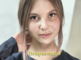 Elviagreenhouse