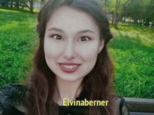 Elvinaberner