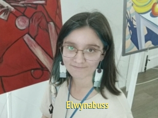 Elwynabuss