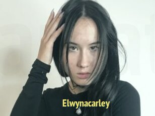 Elwynacarley