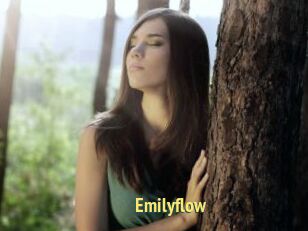 Emilyflow