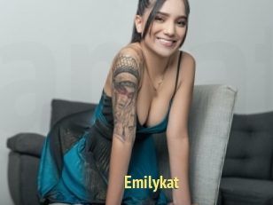 Emilykat