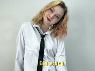 Erlinacurvin