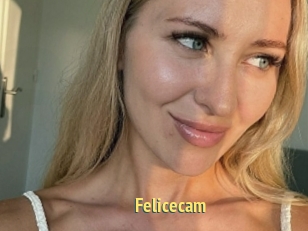 Felicecam