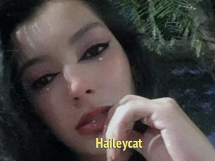 Haileycat