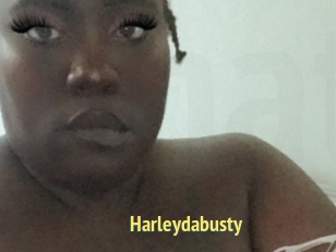 Harleydabusty