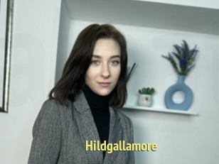 Hildgallamore