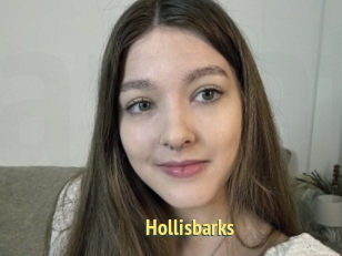 Hollisbarks