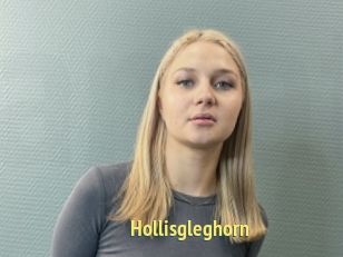 Hollisgleghorn