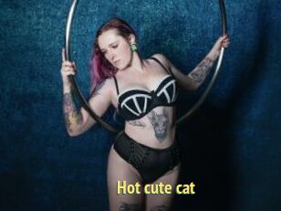 Hot_cute_cat