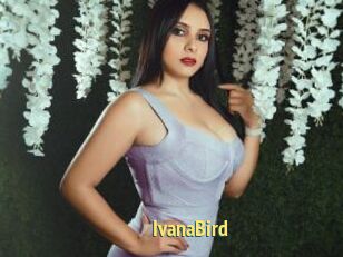 IvanaBird