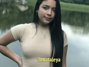 Imcataleya