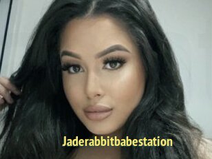 Jaderabbitbabestation