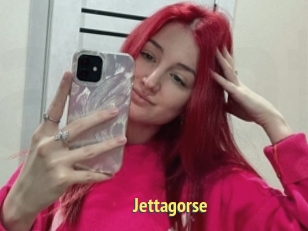 Jettagorse