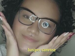 Juniper_camrose