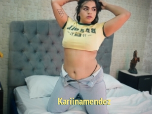 Kariinamendez